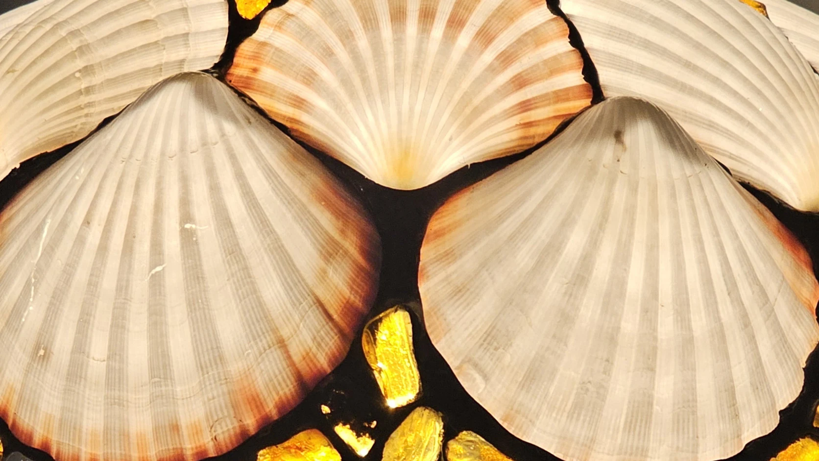Lampa z naturalnych muszli